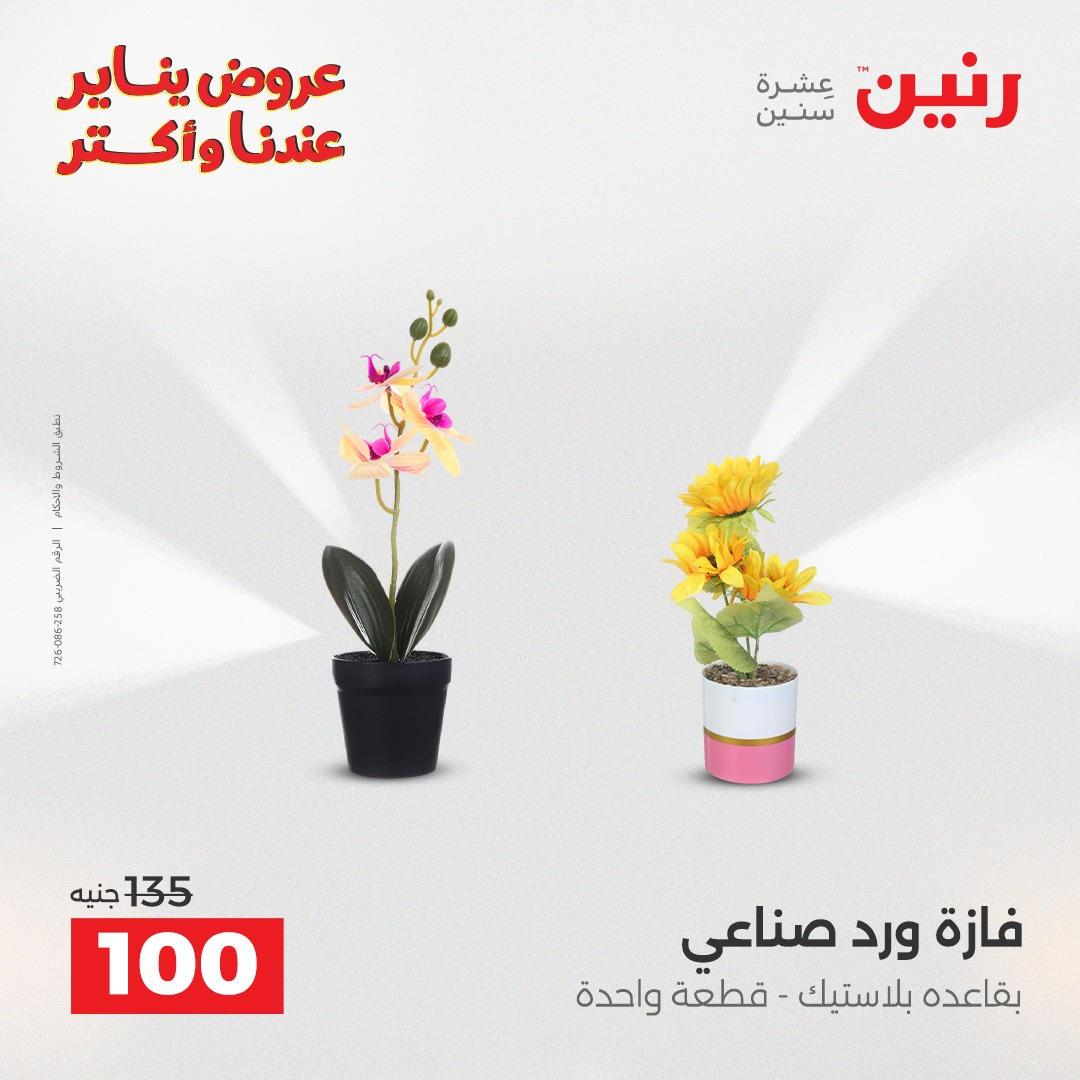 عروض رنين من 8 يناير حتى 10 يناير 2026 صفحة 9 - raneen offers from 8 January to 10 January 2026 page 9